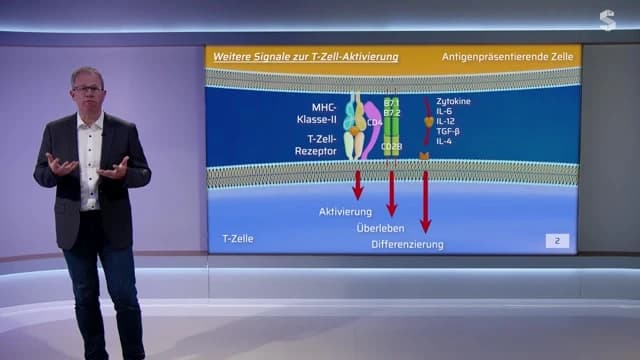 Video Vorschaubild