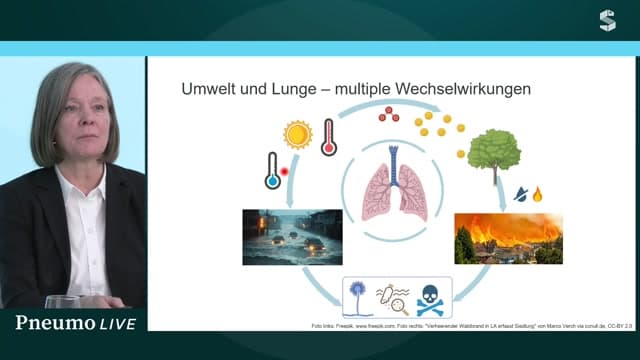 Video Vorschaubild