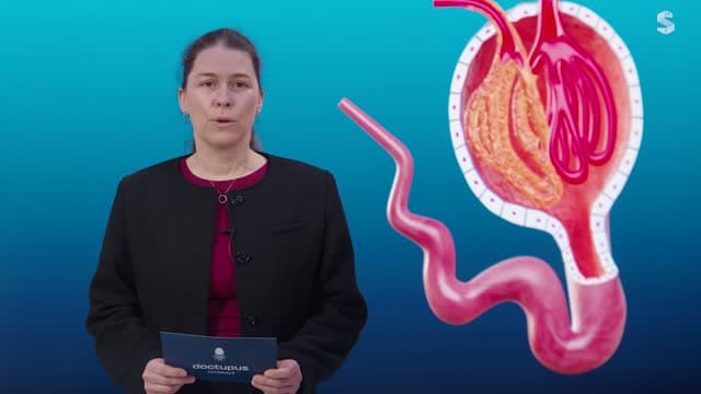 Video Vorschaubild