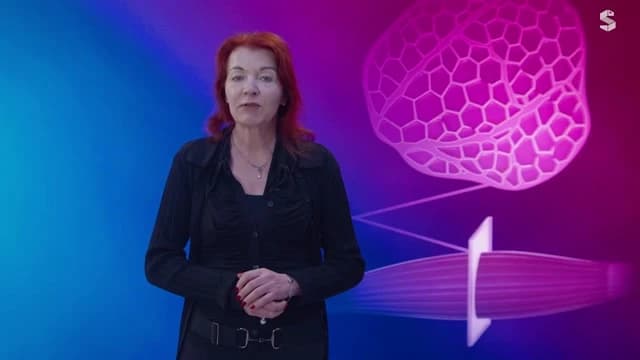 Video Vorschaubild