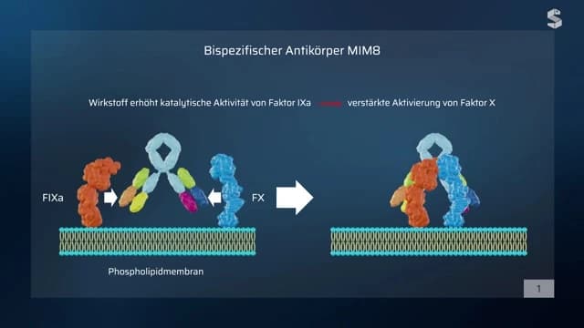 Video Vorschaubild