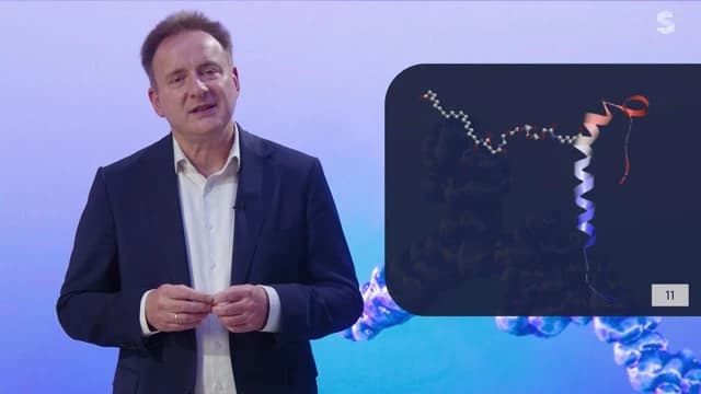Video Vorschaubild