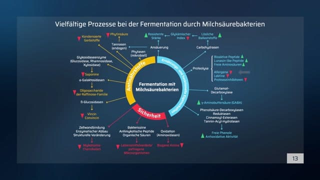 Video Vorschaubild