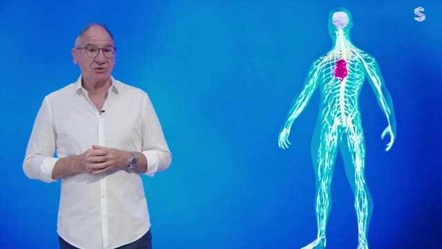 Video Vorschaubild