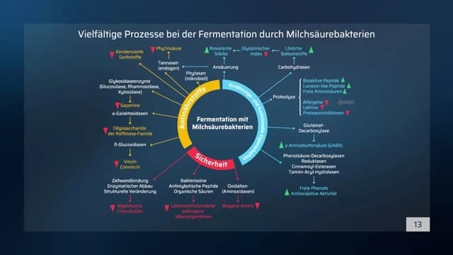 Video Vorschaubild