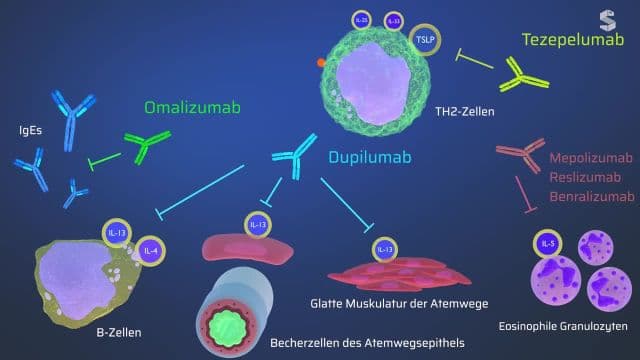 Video Vorschaubild
