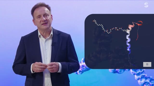 Video Vorschaubild