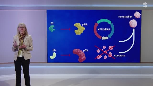 Video Vorschaubild