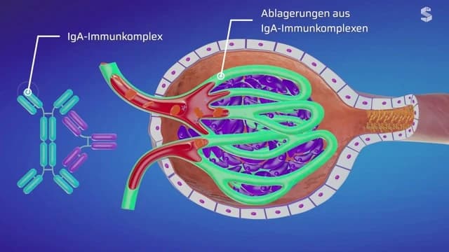 Video Vorschaubild