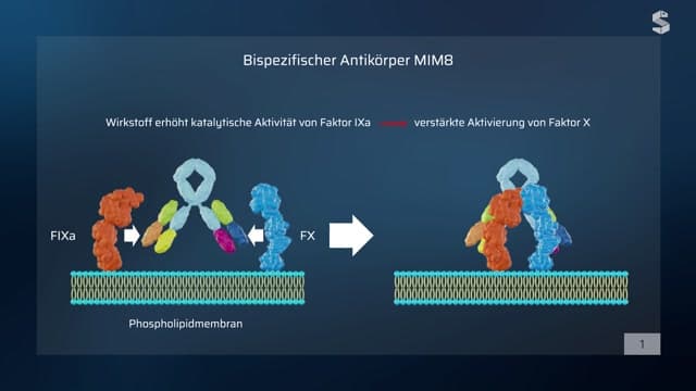 Video Vorschaubild