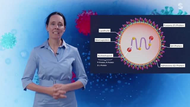 Video Vorschaubild