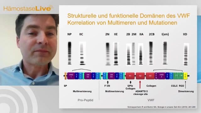 Video Vorschaubild