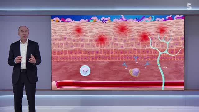 Video Vorschaubild