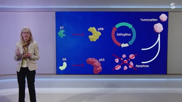 Video Vorschaubild