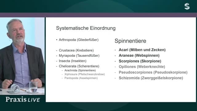Video Vorschaubild