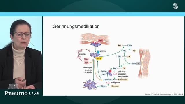 Video Vorschaubild