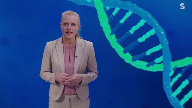 Video Vorschaubild