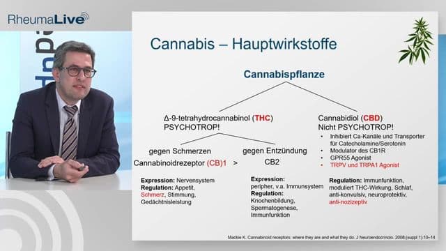 Video Vorschaubild