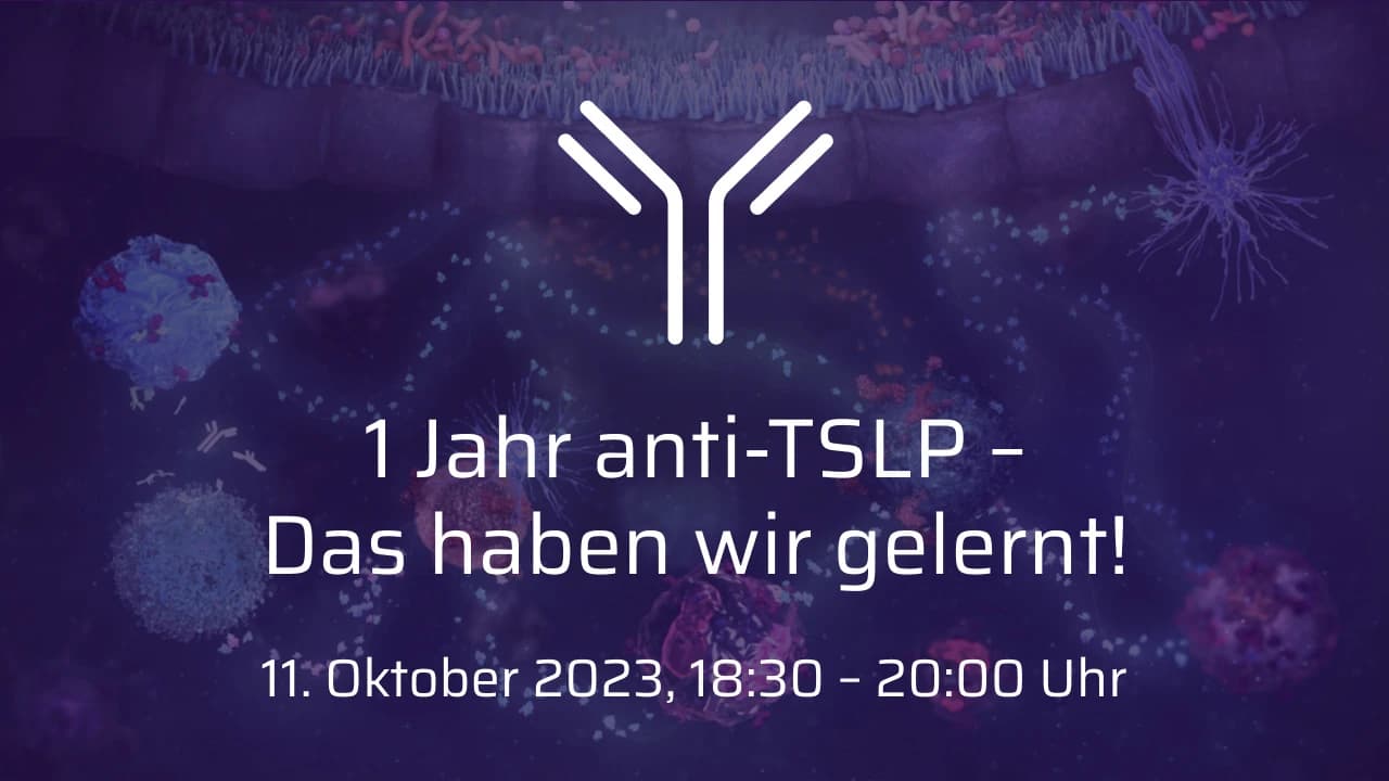 Video Vorschaubild