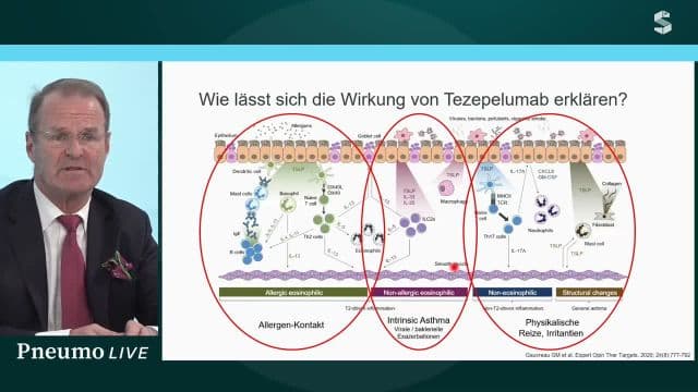 Video Vorschaubild